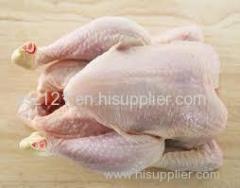 Halal Whole Frozen Chicken