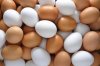 Fresh Chicken Brown/White Table Eggs