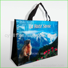 Eco-Friendly Non Woven Bag