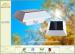 High Power Wall Mounted IP44 Solar Motion Security Light With 3.7V 750mah Battery