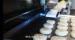 Steam Bun Machine Roller Wheel Automatical , Commercial Bread Making Machine