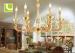 Transparent / Golden Crystal E14 / E12 Contemporary Chandelier Lighting For Living Room