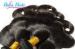 Goddess Tangle Free Eurasian Body Wave Hair Colored Ombre Hair Extensions