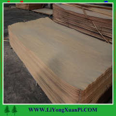 Mersawa Face Veneer for plywood 0.25mm