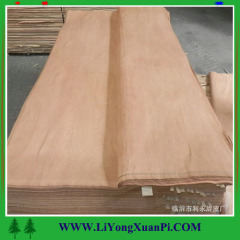red olive face veneer for plywood skin