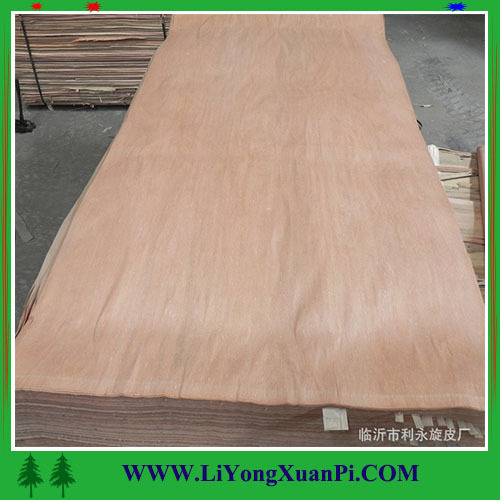 Red Olive okoume face veneer of veneer with grade A face veneer