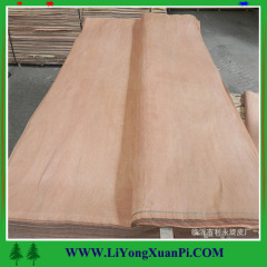 Natuarl Red Olive okoume face veneer