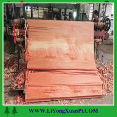 Natural Wood Veneer rotary cut Bintangor face veneer for plywood