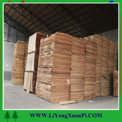 Natural peeling cut bintangor wood veneer with high quality