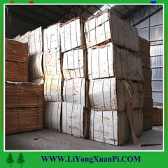 Linyi High Qulity Bintangor Plywood With Two Times Hot Press