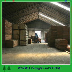 Linyi High Qulity Bintangor Plywood With Two Times Hot Press