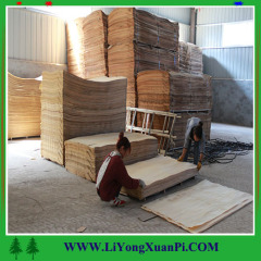 Linyi High Qulity Bintangor Plywood With Two Times Hot Press