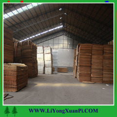 Good Quality Mersawa Sheet Veneer for Plywood