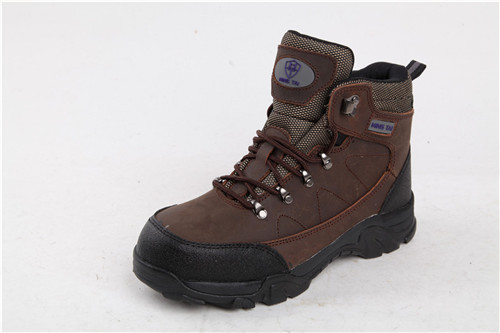 Steel Toe Safety Shoe in middle east area