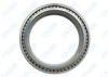 High Load 1900r/min Full Complement Cylindrical Roller Bearings SL024830 / NNCL4830V