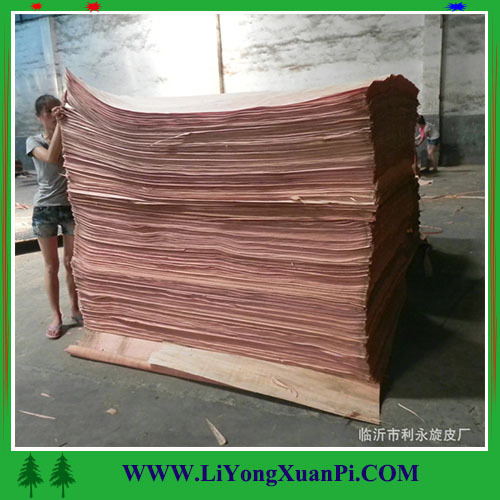 Factory wood veneer supplier/wood veneer face for plywood /best prices face veneer