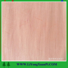 0.3mm Rotary cut sliced cut Building Materials >> Timber & Plank Paramichelia Baillonii Veneers AP-5
