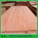 0.3mm Rotary cut sliced cut Building Materials &gt;&gt; Timber & Plank Paramichelia Baillonii Veneers AP-5