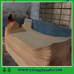 artificial wood red OAK door veneer ayous raw material for fancy plywood