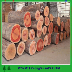 China factory White / Red Oak Veneer