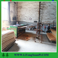 Linyi cheap price rotary cut gurjan veneer/natural wood veneer/keruing veneeer with good color and grain
