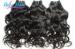 Chocolate / Wine Red Brazilian Virgin Human Hair Water Wave Hair Weave