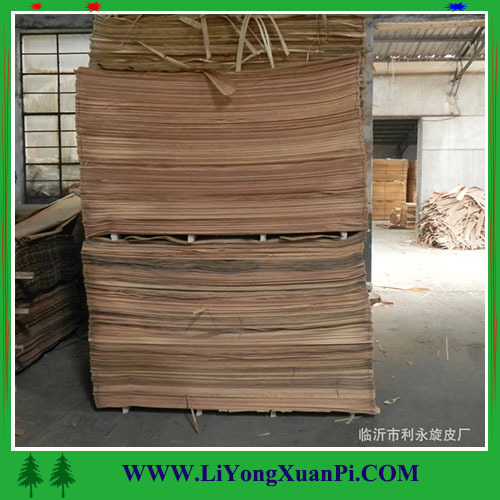 Natural gurjan wood face veneer