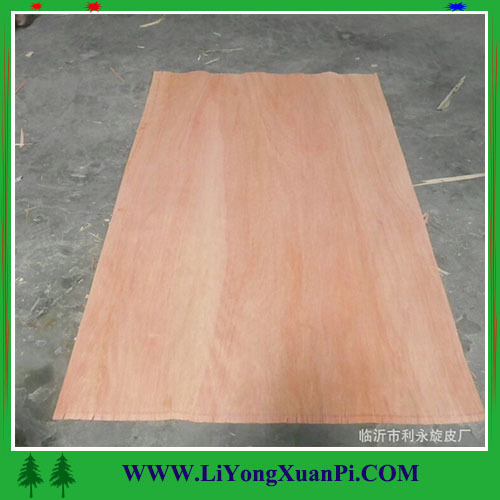 Linyi supplier for sliced cut natural face veneer type red walnut face veneer for plywood
