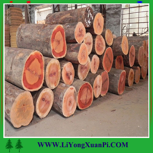 okoume plywood mahogany timber low price