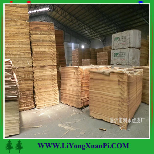 Furniture grade high quality plywood veneer