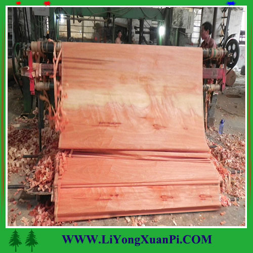 Hardwood veneer plywood Manufacture