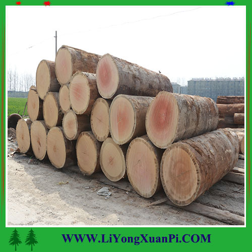 Linyi factory supply Rotary cut burma wood face veneer 4x8 natural face keruing