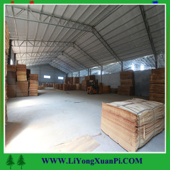 Linyi rotary cut gurjan face veneer/natural wood veneer/keruing veneeer with1300x2500x0.20-0.50mm and low price