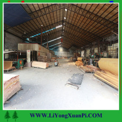 Linyi 1300x2500x0.2-0.5mm rotary cut gurjan veneer/natural wood veneer/keruing veneeer with competitive price