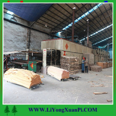 Oak veneer Bingtangor veneeer plywood sheet