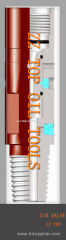 CT Dual function circulating valve