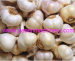 garlic separating machine garlic clove spliting machine