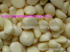 high capacity garlic skin peeling machine