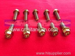 Titanium golden screws Grade 5 Ti6Al4V made in china hexagon socket cap screws