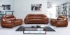 Australian Sofa Combination Leather Sofa (L. Xll209)
