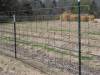 Solid Steel Pole For Cattle Fence Enclosure