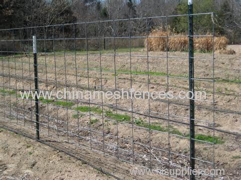 Solid Steel Pole For Cattle Fence Enclosure