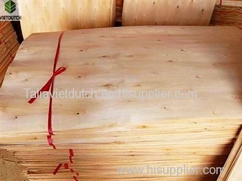 Eucalyptus core veneer from Vietnam