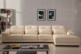 Nepal Furniture Leather Sofa