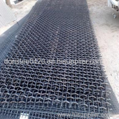 High quality Mine mesh