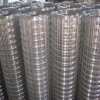 stainless steel welded wire mesh