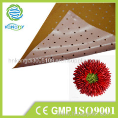 Kangdi OEM&ODM manufacturer adhesive medical capsicum plaster