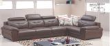 American Style Used Beauty Salon Furniture Sofa