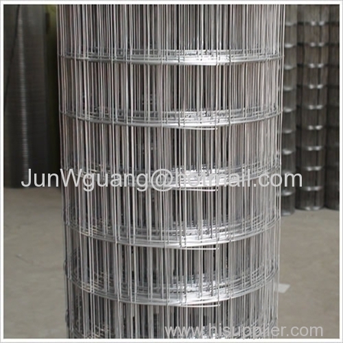 Electro Galvanized Welded Wire Mesh