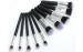 Personal Woman Cosmetic Makeup Brush Sets With Soft Hair 10pcs